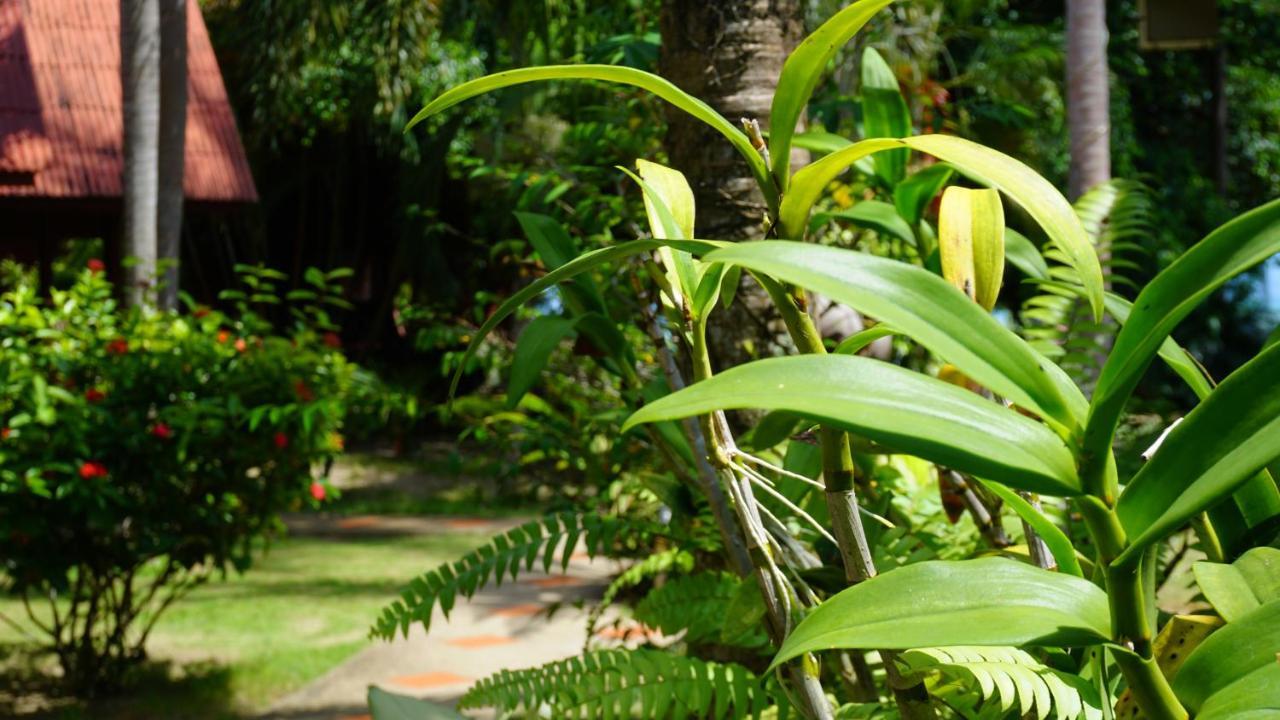Morning Star Resort Baan Tai Ngoại thất bức ảnh